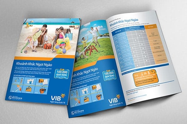 Mẫu tờ rơi VIB độc đáo